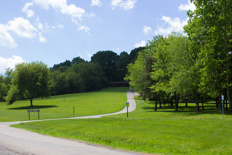 knobbhillpark (56 of 56)