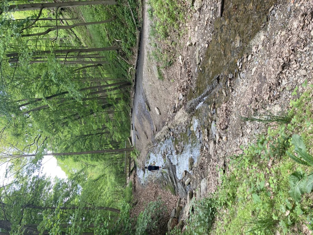 Fall Run Park 17