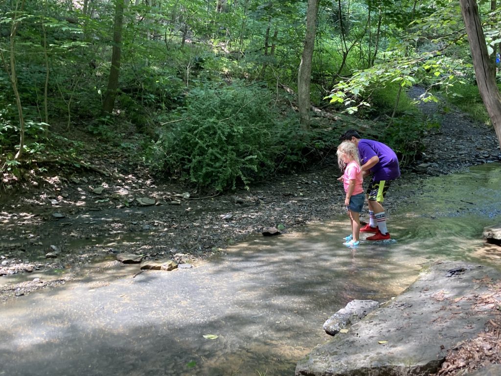 pittsburgh hiking trails