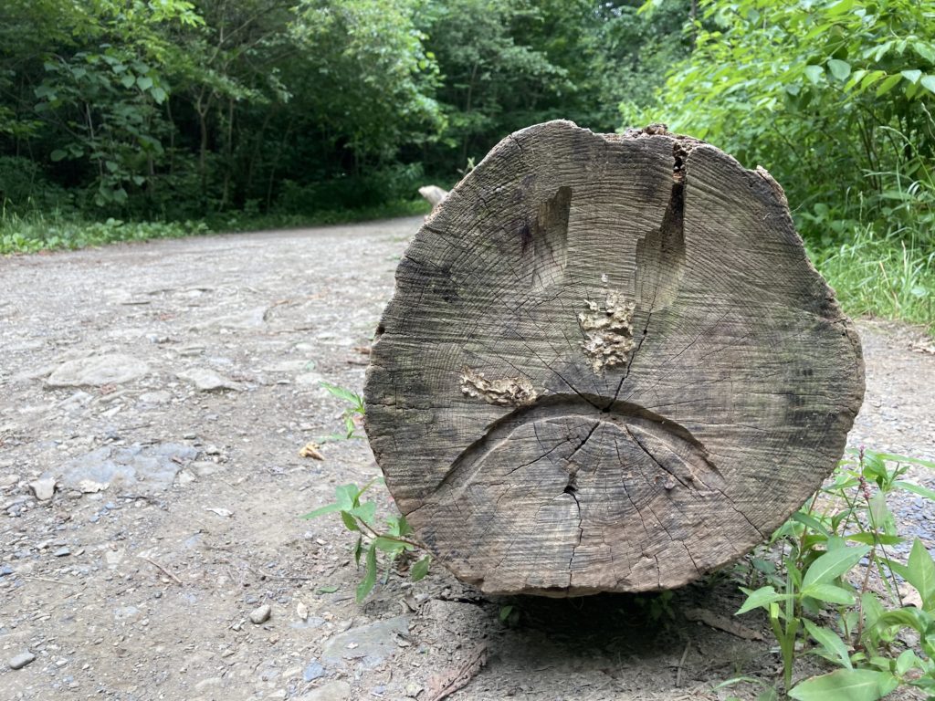 Fall Run Park 7