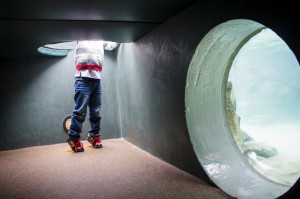 National Aviary - North Side