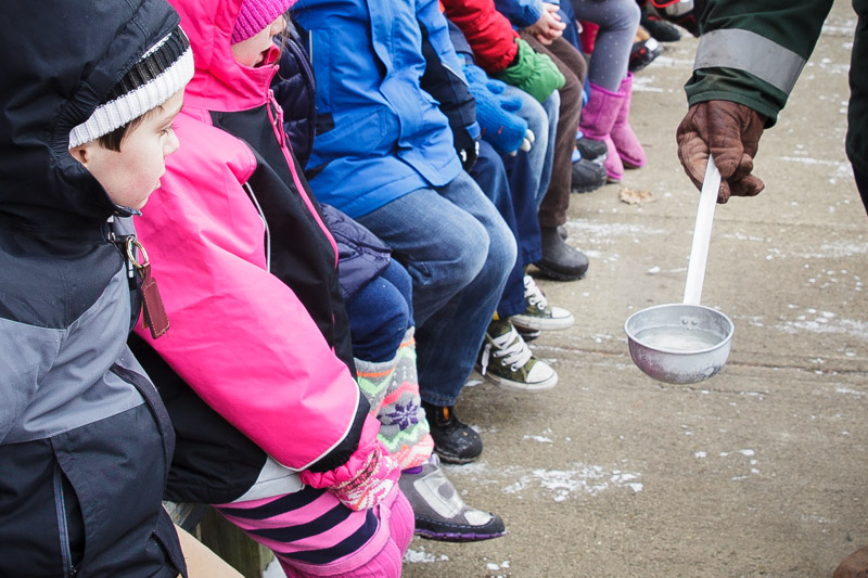 pittsburgh maple festival