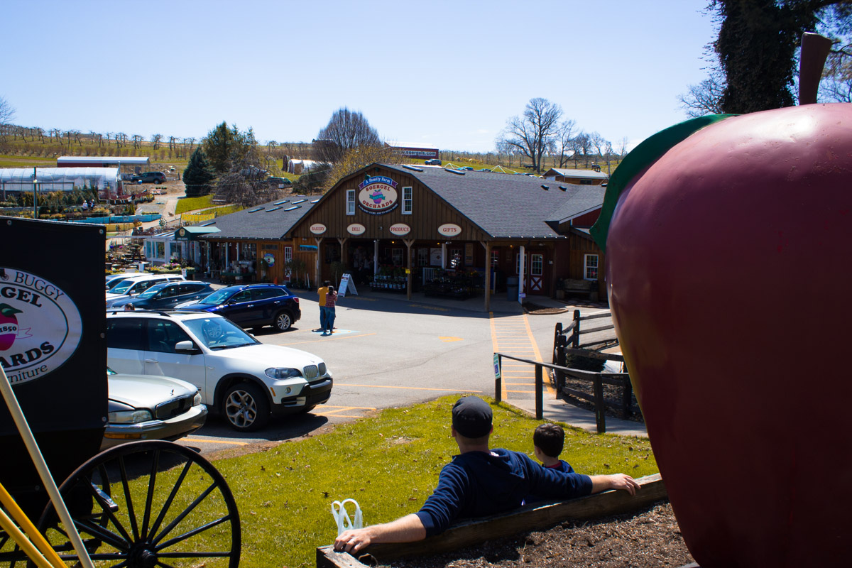 Soergel Orchard