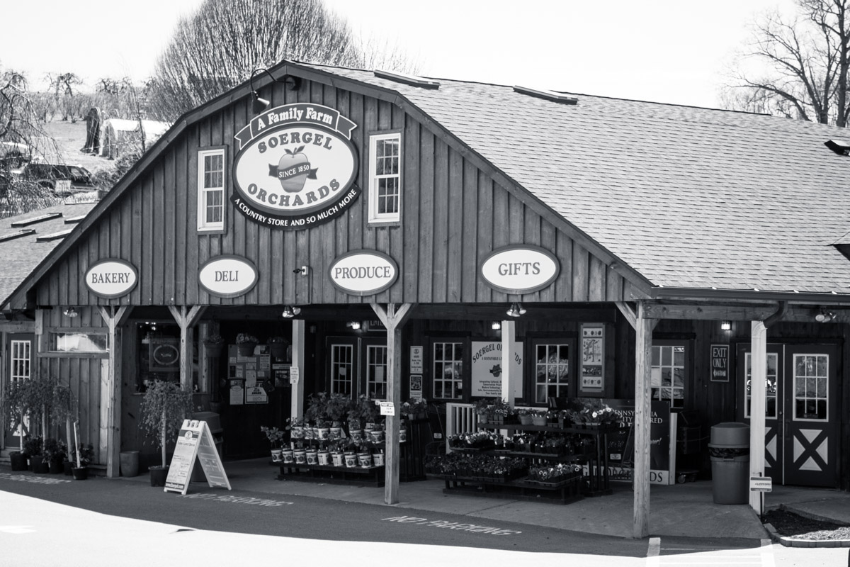 pittsburgh pumpkin patch