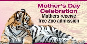 mothers day pittsburgh