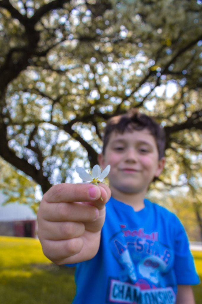 round hill park and exhibit farm 