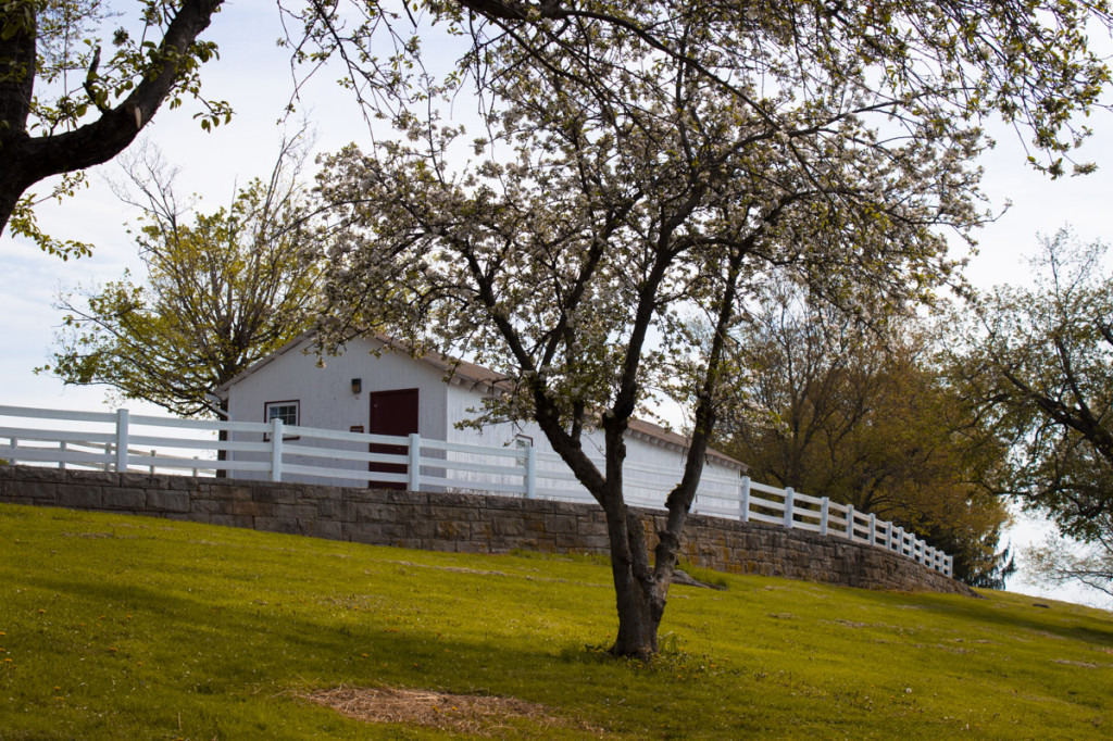 pittsburgh family fun