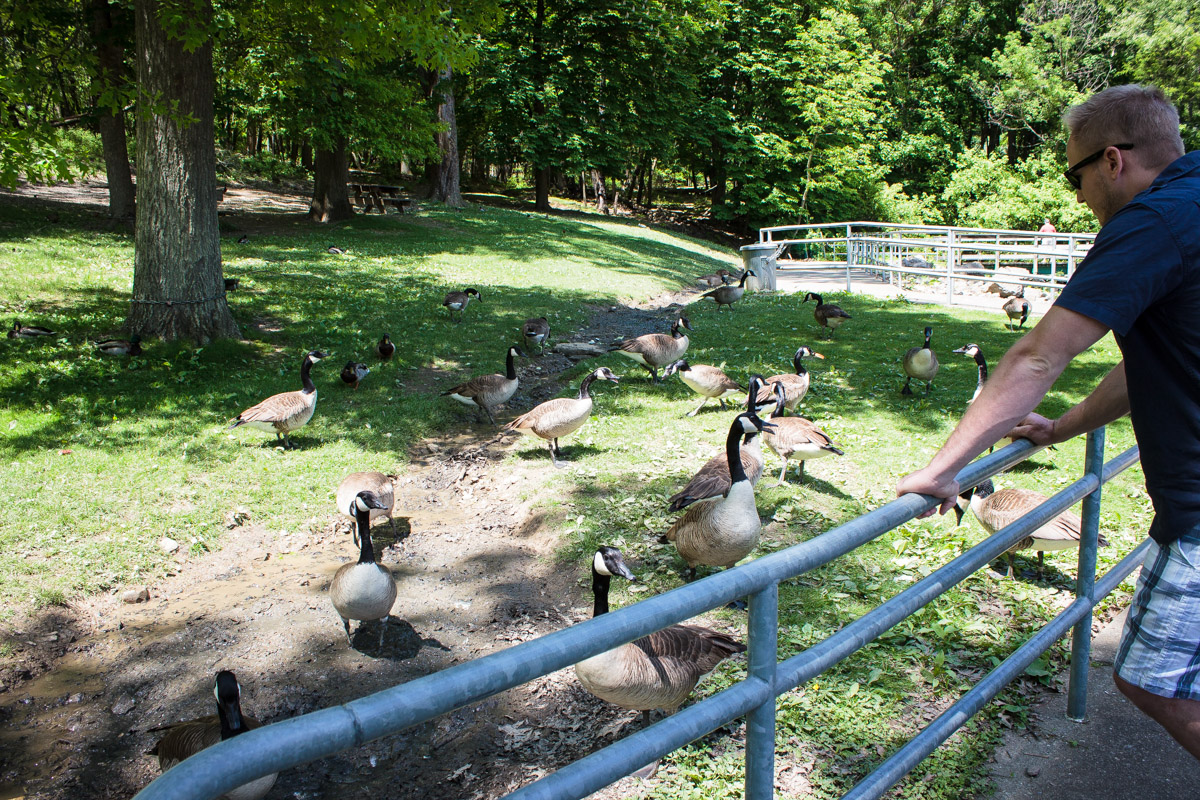 south park game preserve