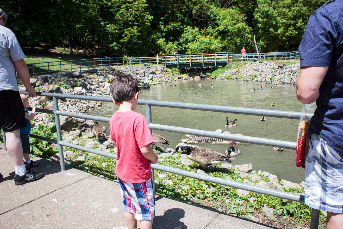 south park game preserve