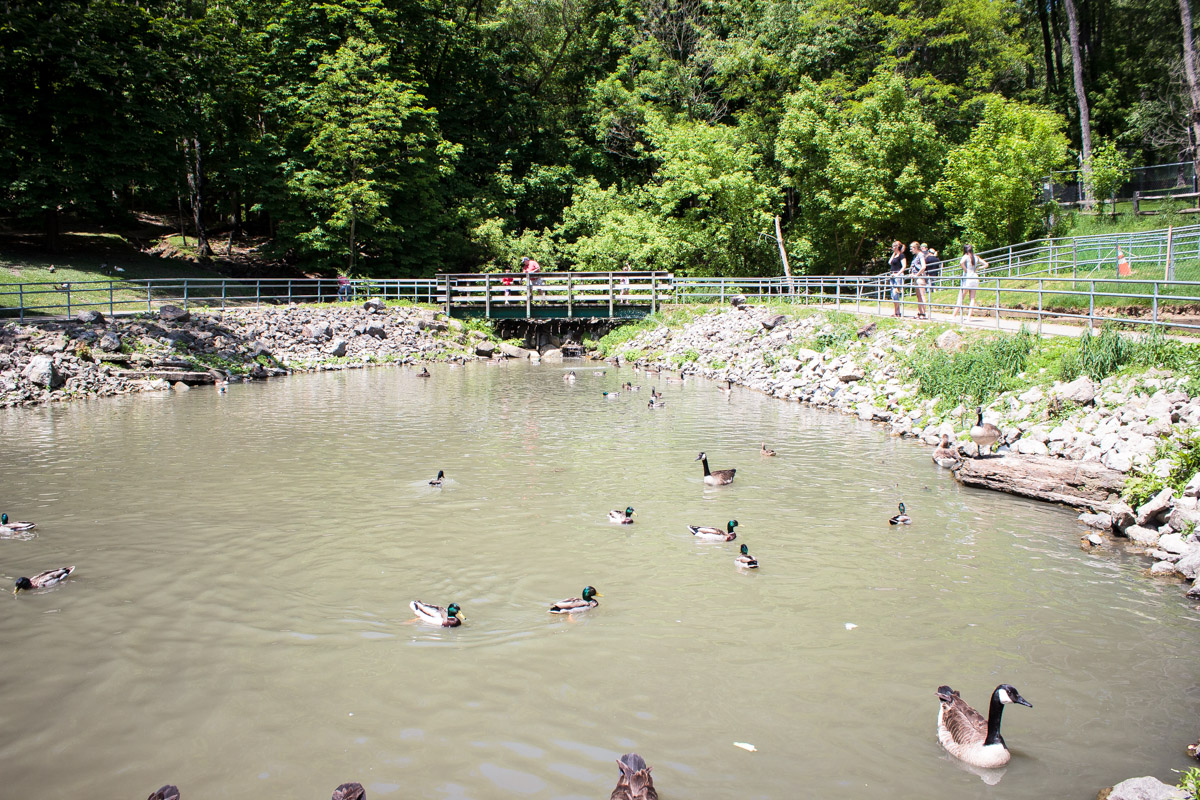 south park game preserve