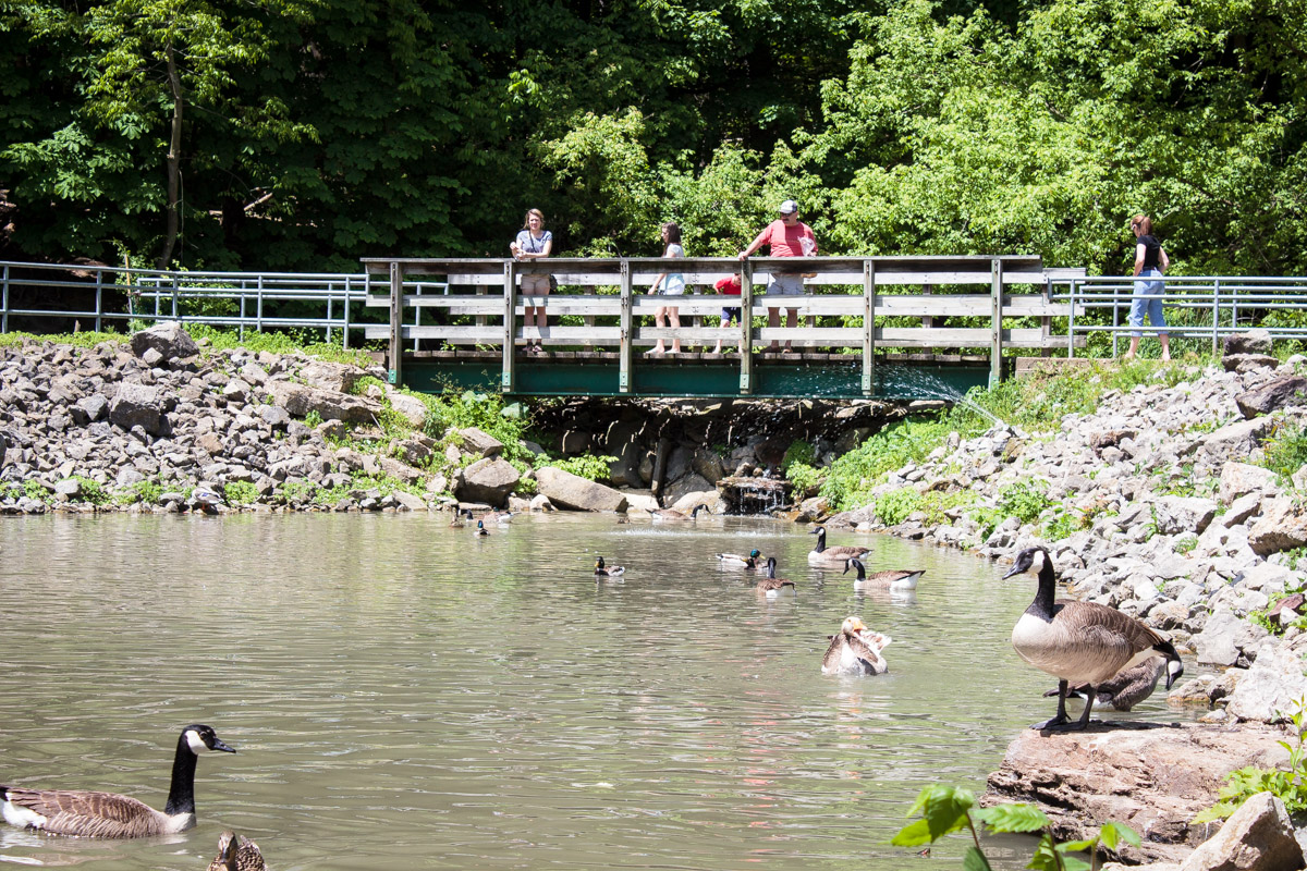 south park game preserve