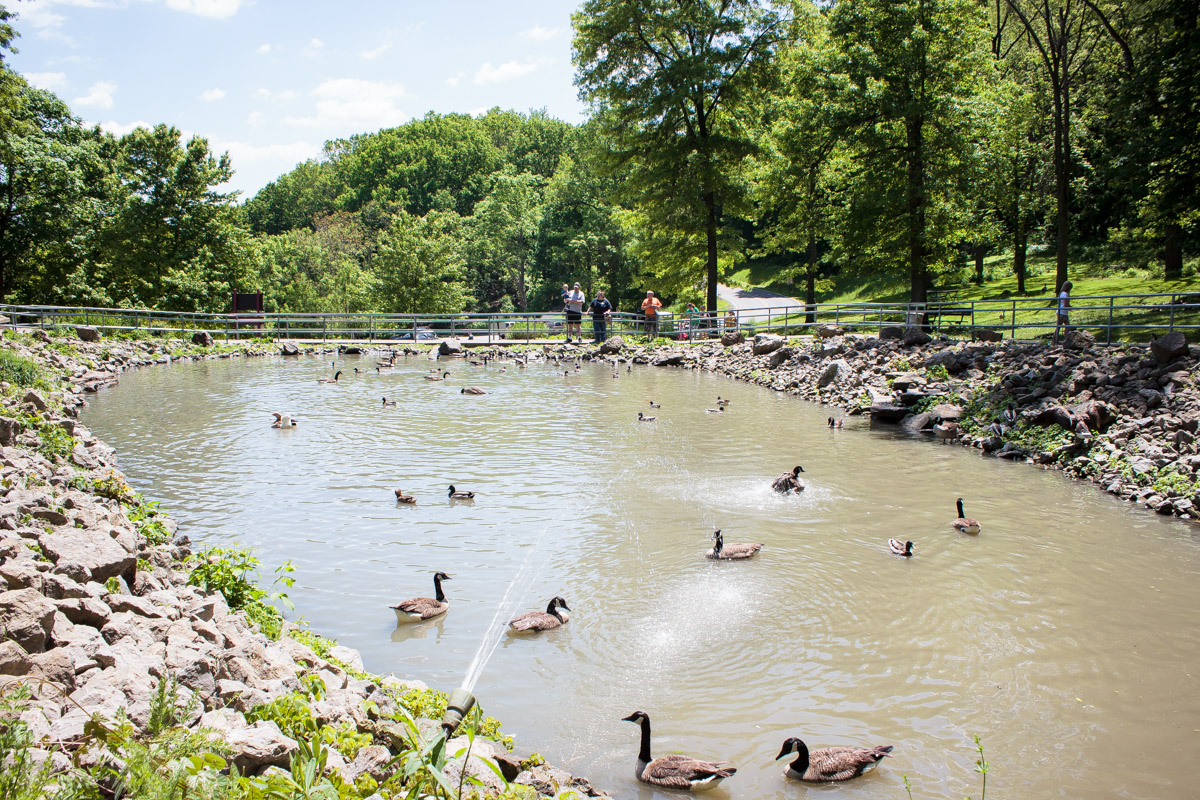 south park game preserve