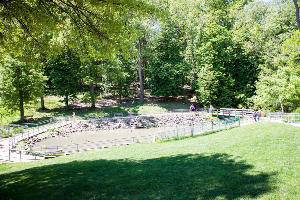 south park game preserve