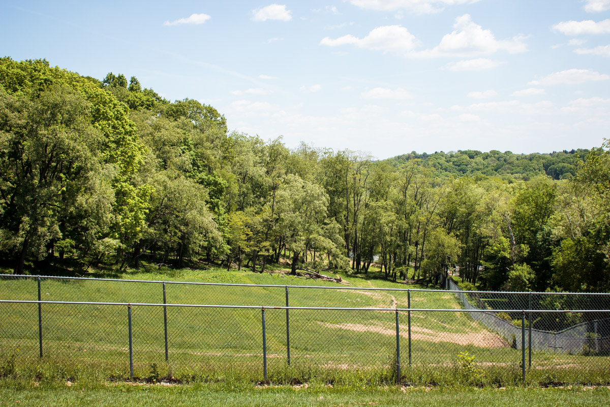 south park game preserve