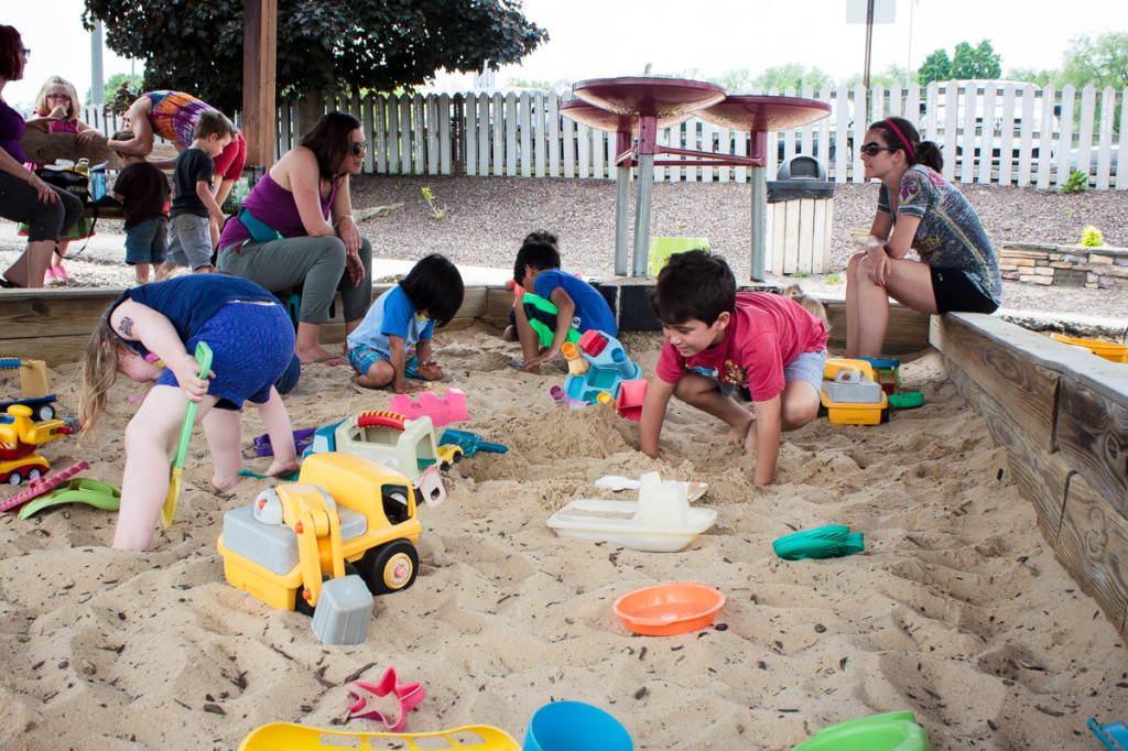 franklin park blueberry patch