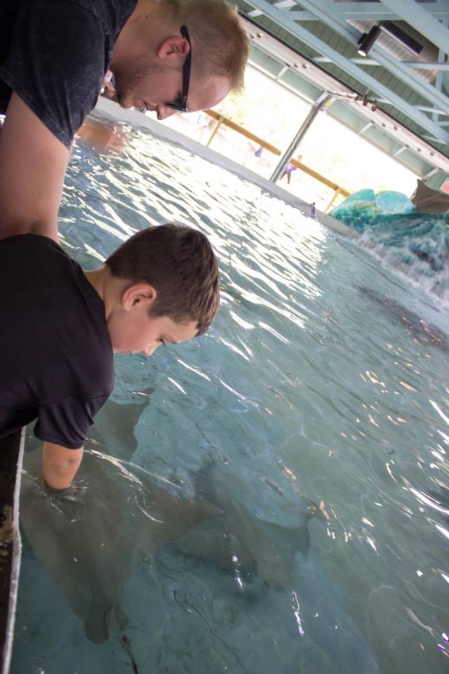 Columbus Zoo stingray bay