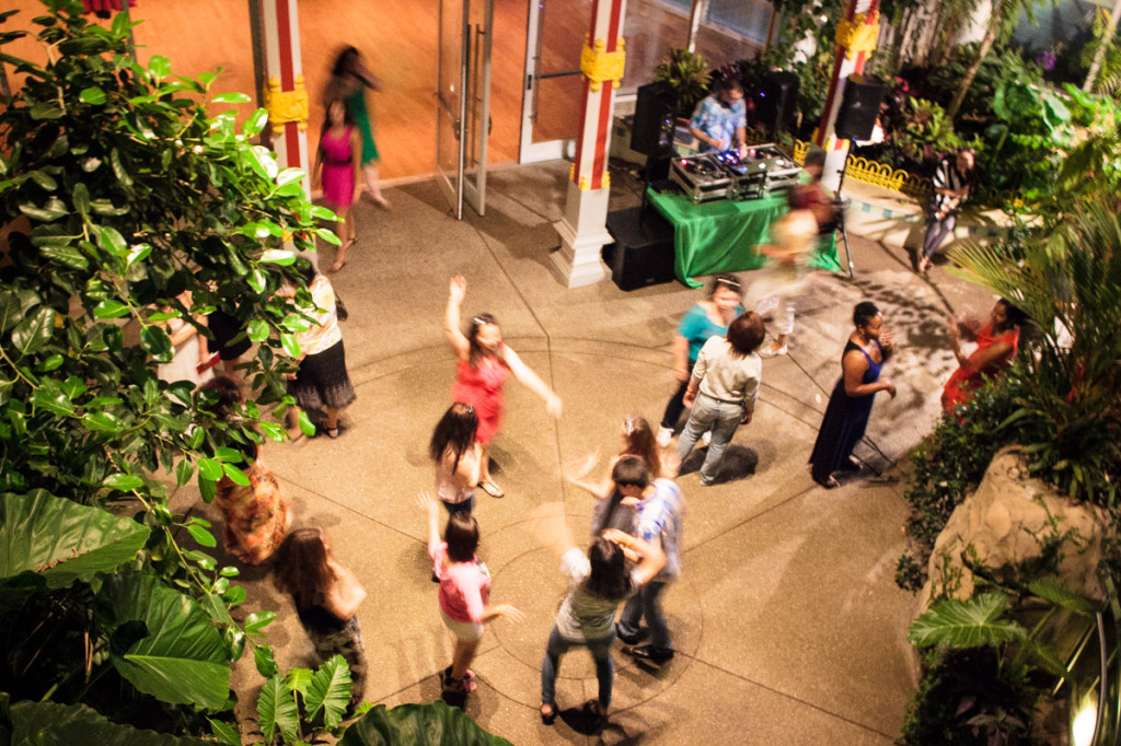 party in the tropics