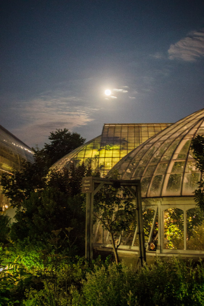 phipps conservatory