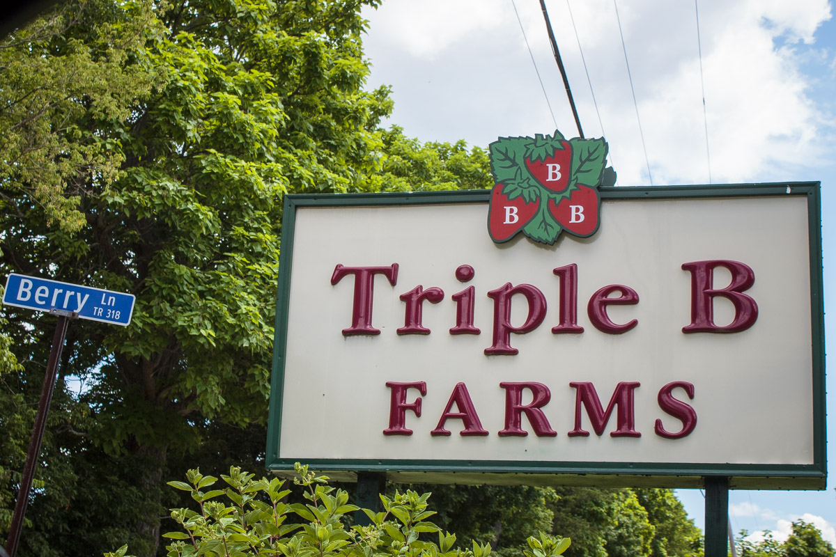 triple b farms