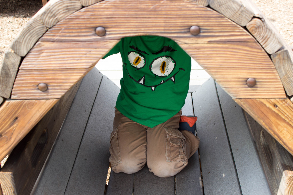 clever park robinson