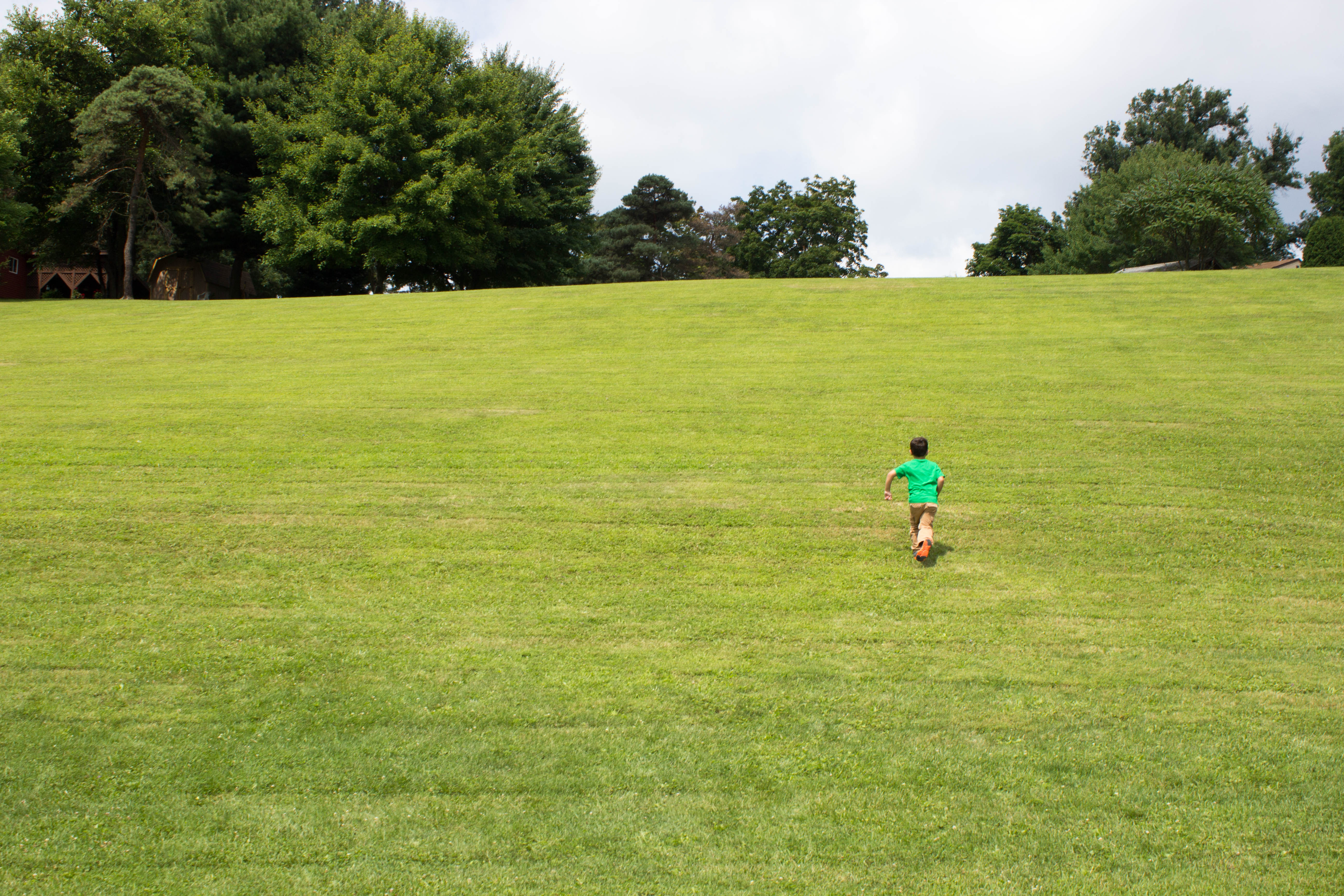 clever park robinson