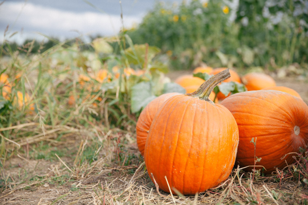 things to do in october