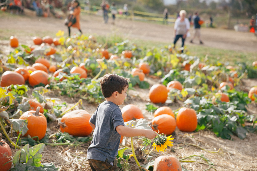 things to do in pittsburgh in october