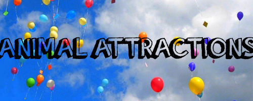 pittsburgh birthday party venues 