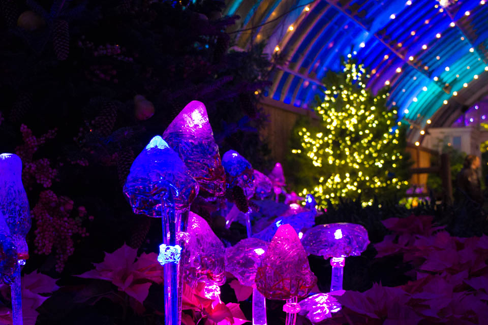 Phipps Winter Garden Light Show (15 of 16)