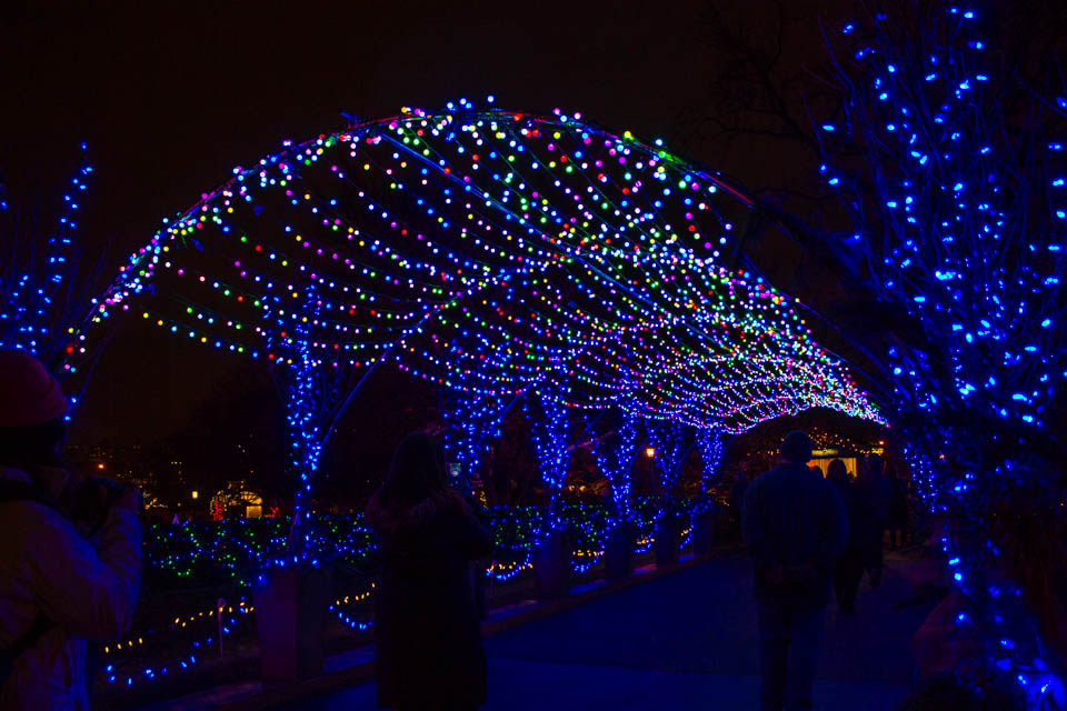 Phipps Winter Garden Light Show (18 of 16)