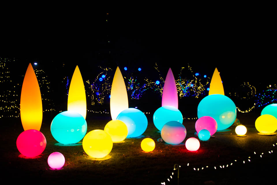 Phipps Winter Garden Light Show (19 of 16)