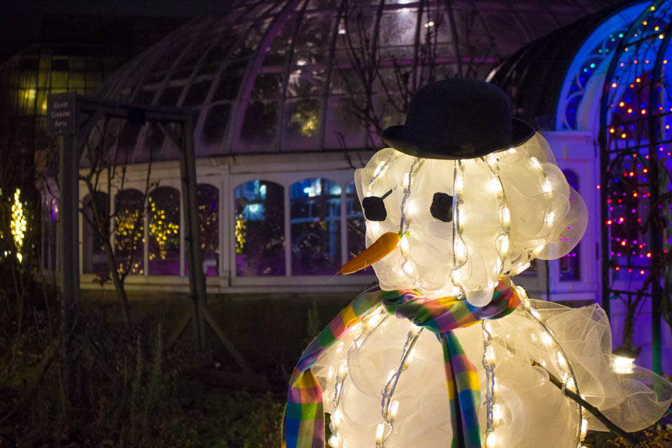 Phipps Winter Garden Light Show (21 of 16)