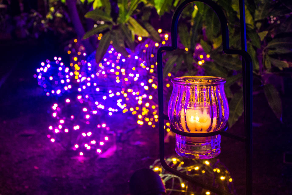 Phipps Winter Garden Light Show (23 of 16)