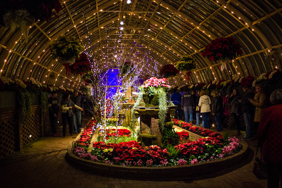 Phipps Winter Garden Light Show (24 of 16)