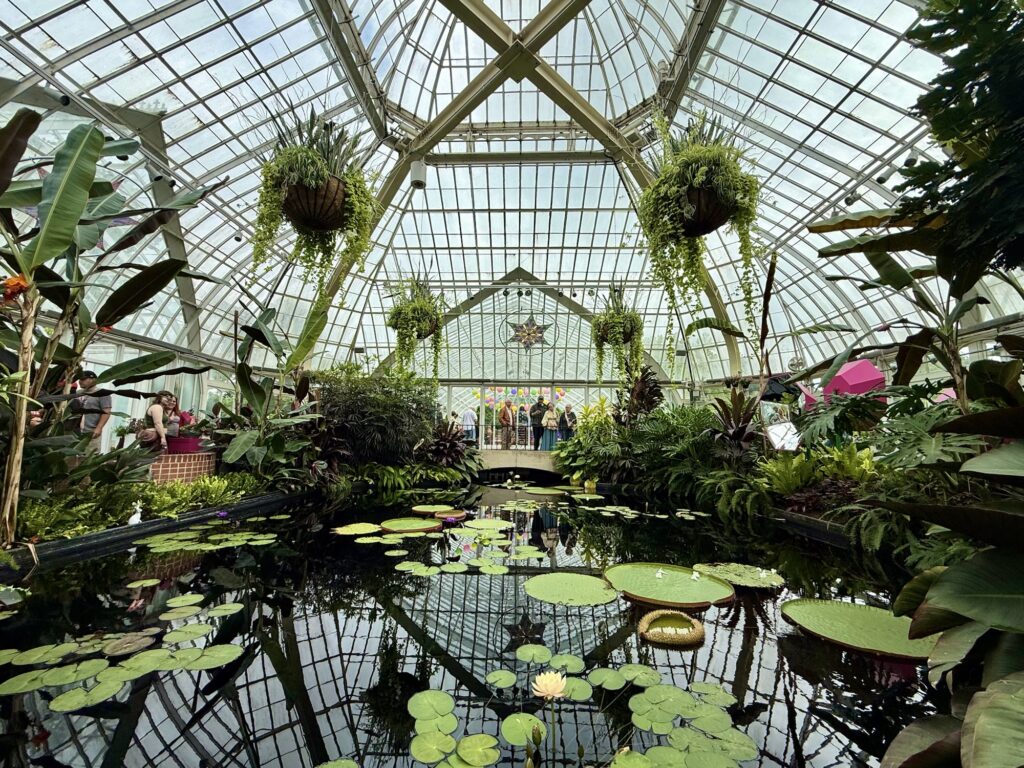 Phipps Conservatory Summer Flower Show 2026